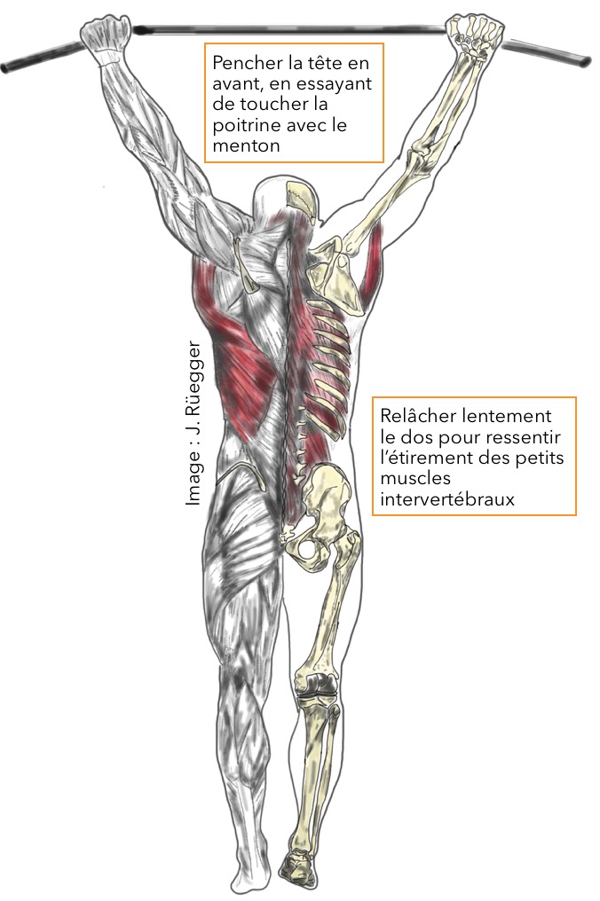 Étirement du dos suspendu à une barre fixe pour relâcher les muscles intervertébraux