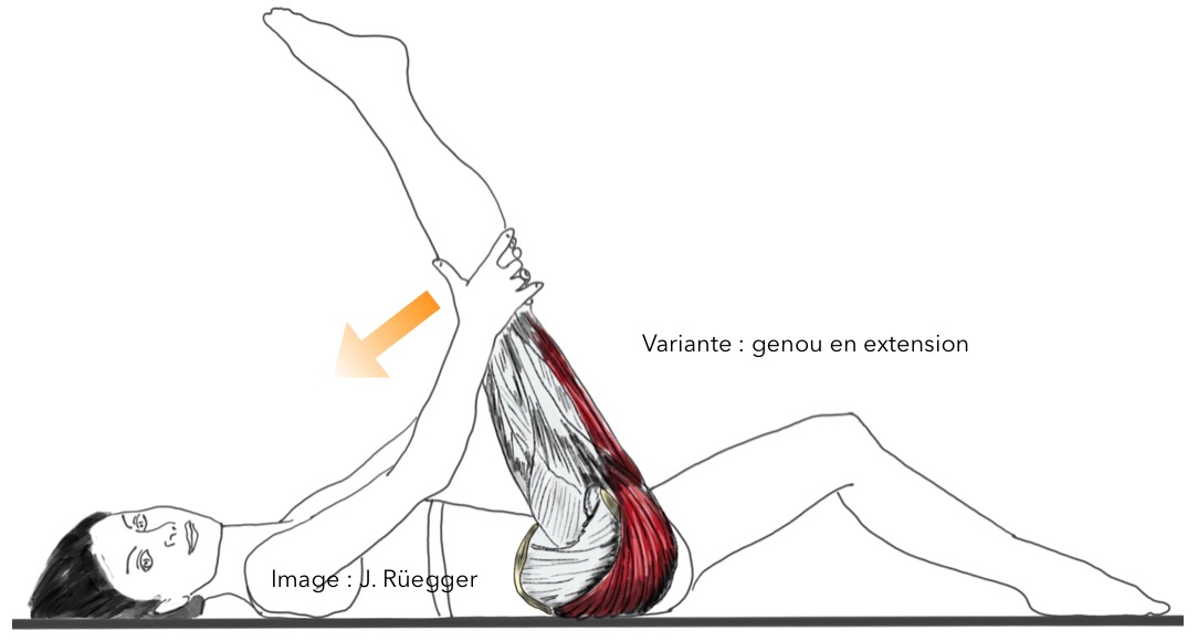 Étirement allongé avec jambe tendue pour les ischio-jambiers et le grand fessier