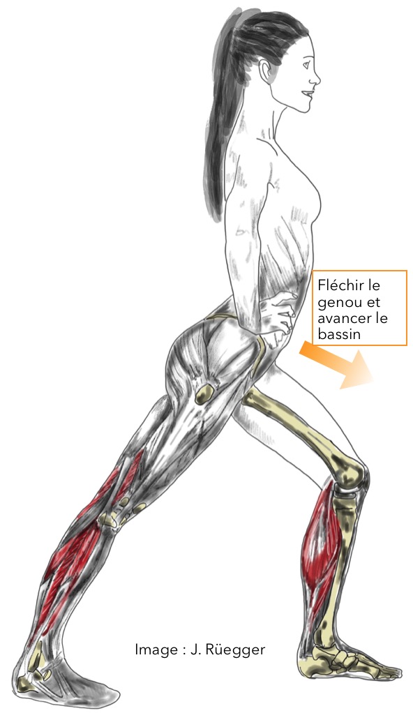 Étirement en fente pour les muscles du mollet et les fléchisseurs du pied